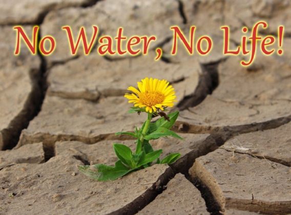 Save Water Best and Catchy Slogans | RitiRiwaz