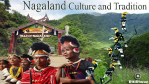 presentation on culture of nagaland