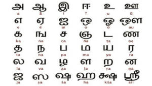 Tamil Language | RitiRiwaz