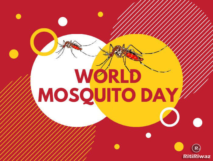 World Mosquito Day 20 August RitiRiwaz