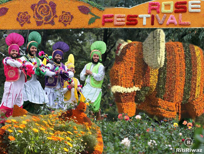 Chandigarh Rose Festival 2023 | RitiRiwaz